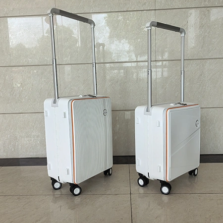 Check-In Luggage