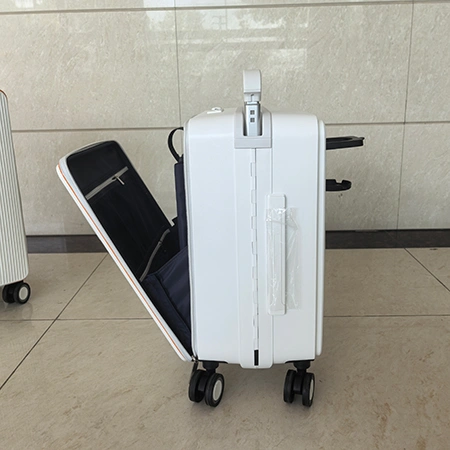 Check-In Luggage