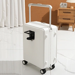 Check-In Luggage